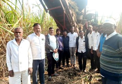 सोमेश्वर सहकारी साखर कारखान्याच्या सहा ब नंबर गटात हार्वेस्टरद्वारे ऊस तोडणी सुरू