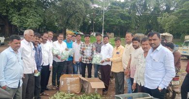 सह्याद्री माझा च्या बातमीचा इफेक्ट ; पुरंदर मधील सिताफळ रबडी उद्योग पुन्हा जोमाने सुरू होणार.